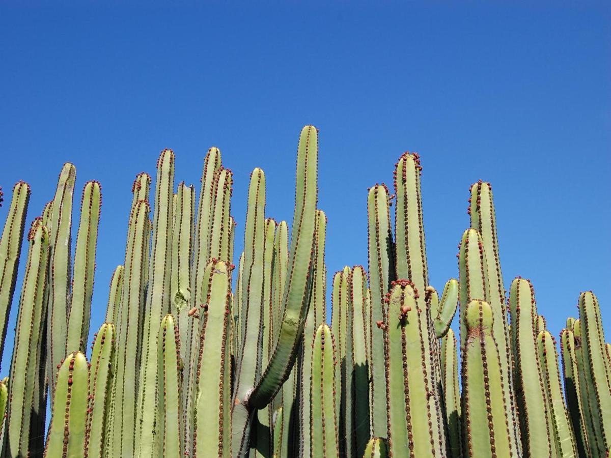Los Lagos 20 By Villagrancanaria Salobre  Dış mekan fotoğraf
